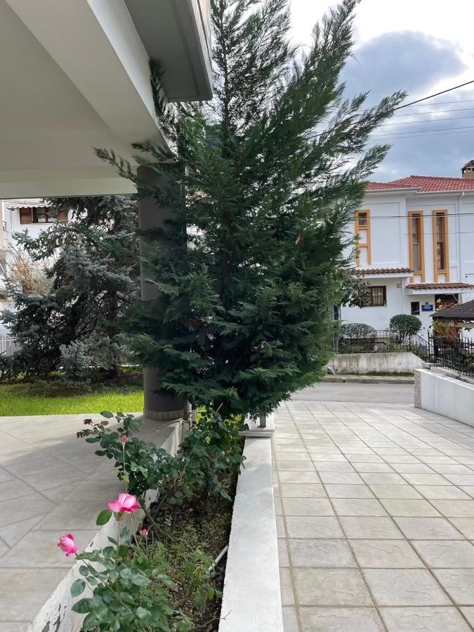 Stema Luxury υψηλής αισθητικής